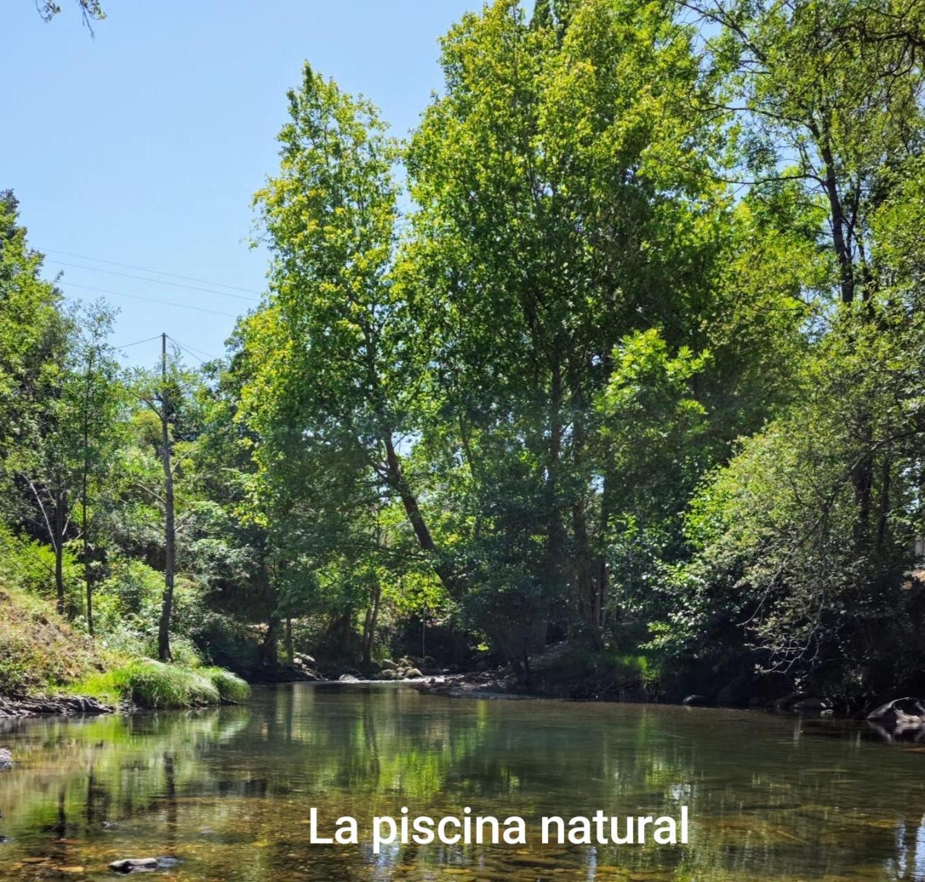 El Nial De Los Pinos Ojedo Dış mekan fotoğraf